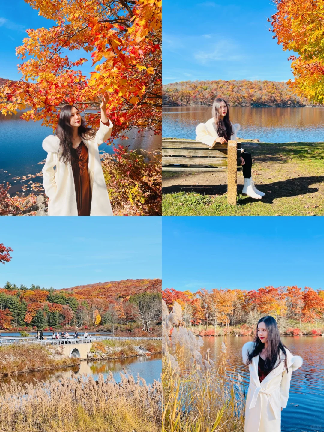 NYC Area | Must-Visit Fall Foliage Spots 🍁