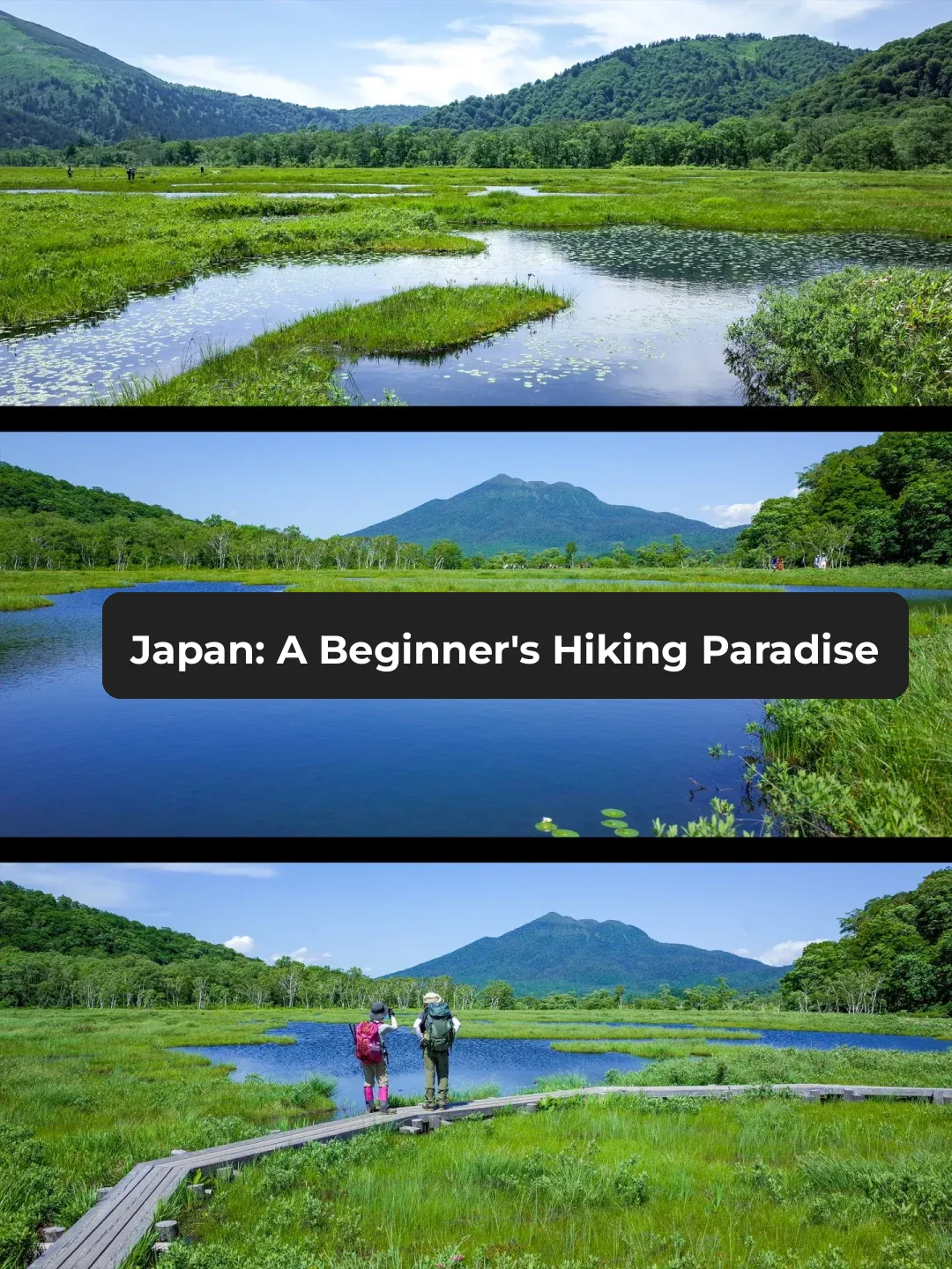 Tokyo's Nearby Hiking Spot for Beginners: Oze National Park