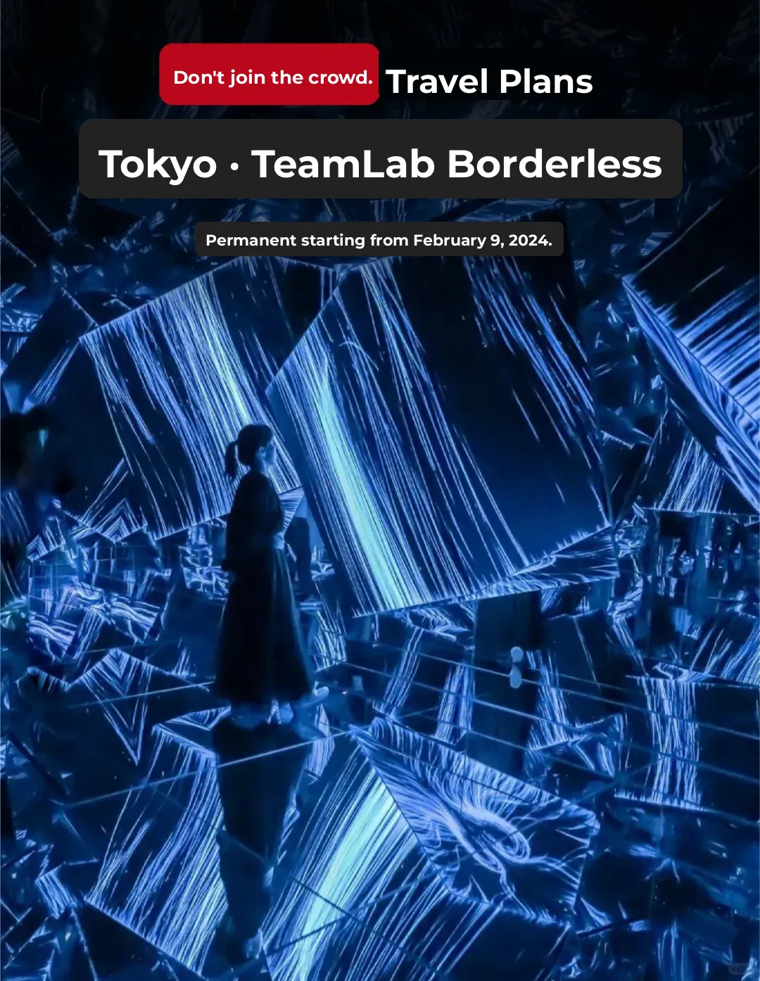 This Tokyo Art Gallery? No Words, Just Pure Awe.