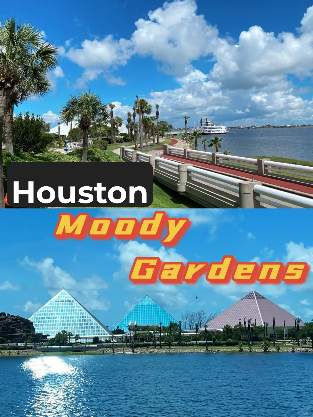 Great Spot for Kids: A Guide to Moody Gardens in Houston