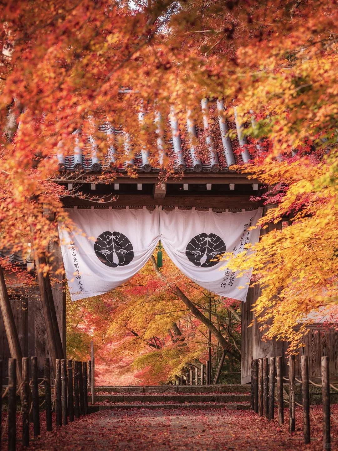 "October to December! Japan's Autumn is Truly Divine 🍁"