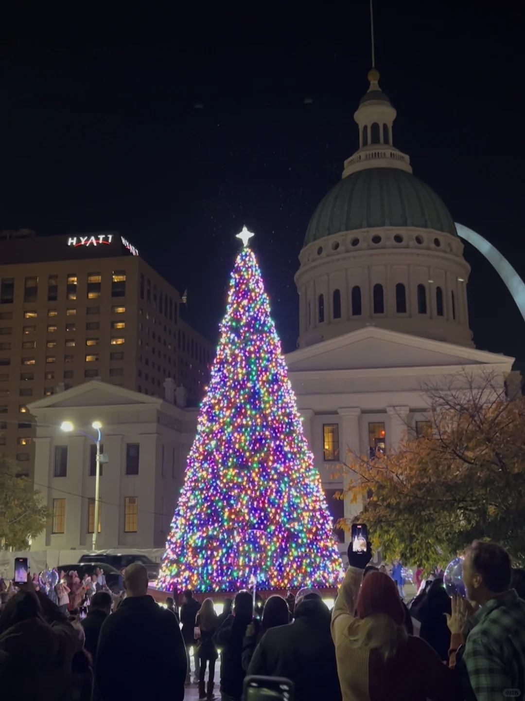 St. Louis Christmas Tree🎄 Lighting Ceremony!
