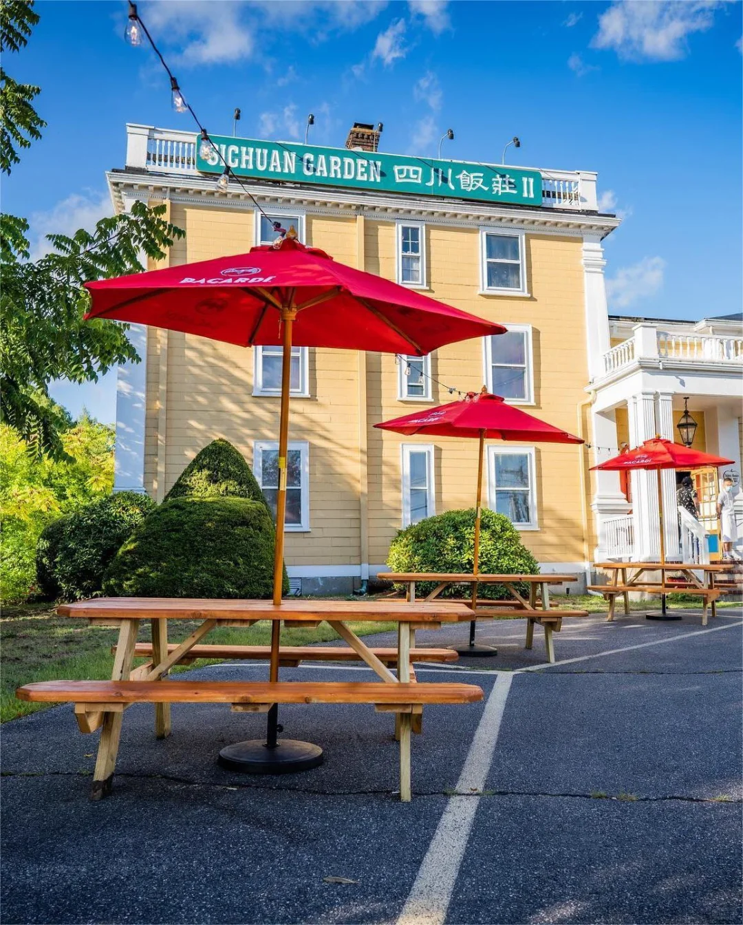 🌶️ Sichuan Cuisine Paired with Cocktails ✨ So Delicious You'll Want It to Last Forever!