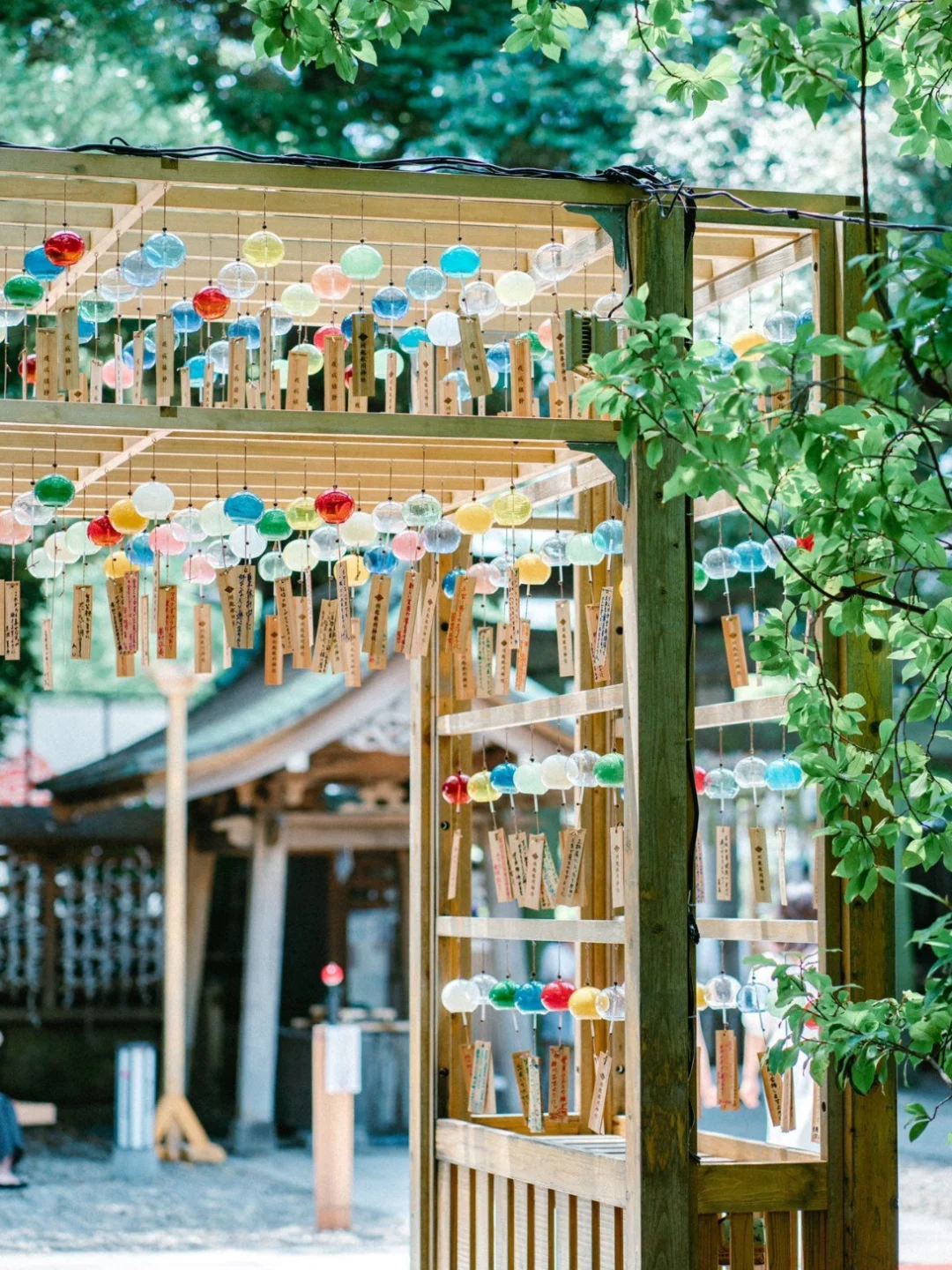 🇯🇵 Tokyo | Japan Bridge Summer 🎐 Windbell Festival is here!