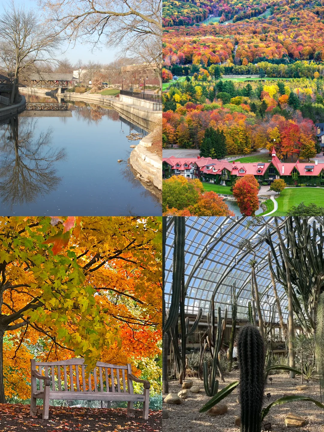 "21 Must-Do Activities in Chicago for Fall ⛅️ Let’s Go Leaf-Peeping Together This Weekend 💛"