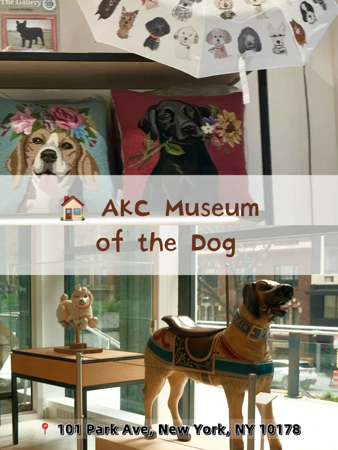 Stop Crowding Popular Tourist Spots❗️ These Hidden Gem Museums Are Absolutely Stunning😍