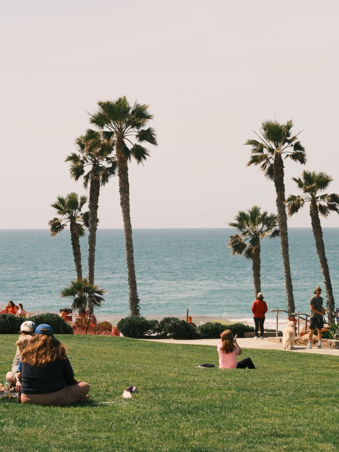 Fujifilm｜"Toss Away All Your Bad Moods" 🌴🌊