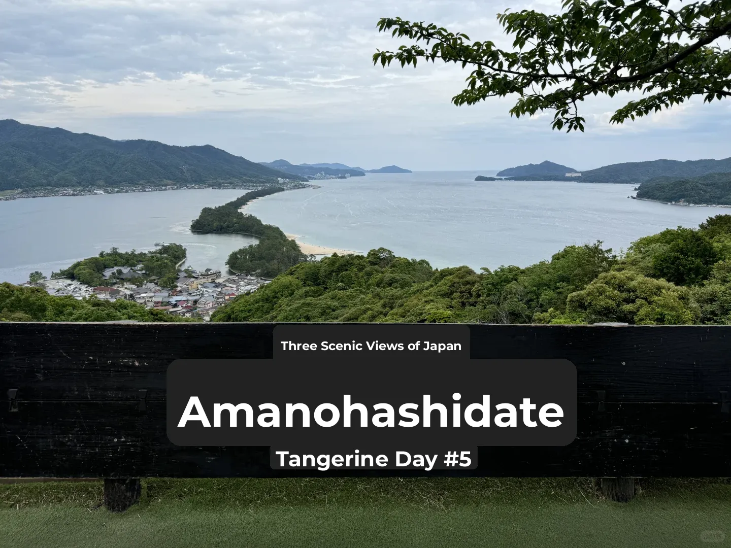 Comprehensive Guide to Kyoto's Amanohashidate Area: Navigate Freely on Your Solo Trip