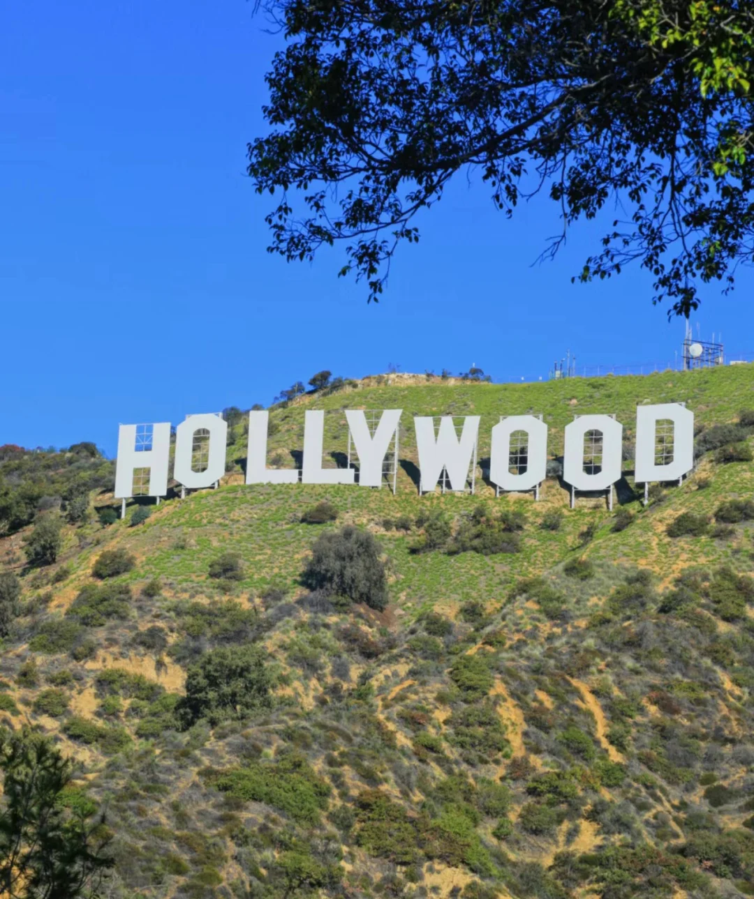 In LA? Need a pickup or private car service? Check this out! 🚗✨