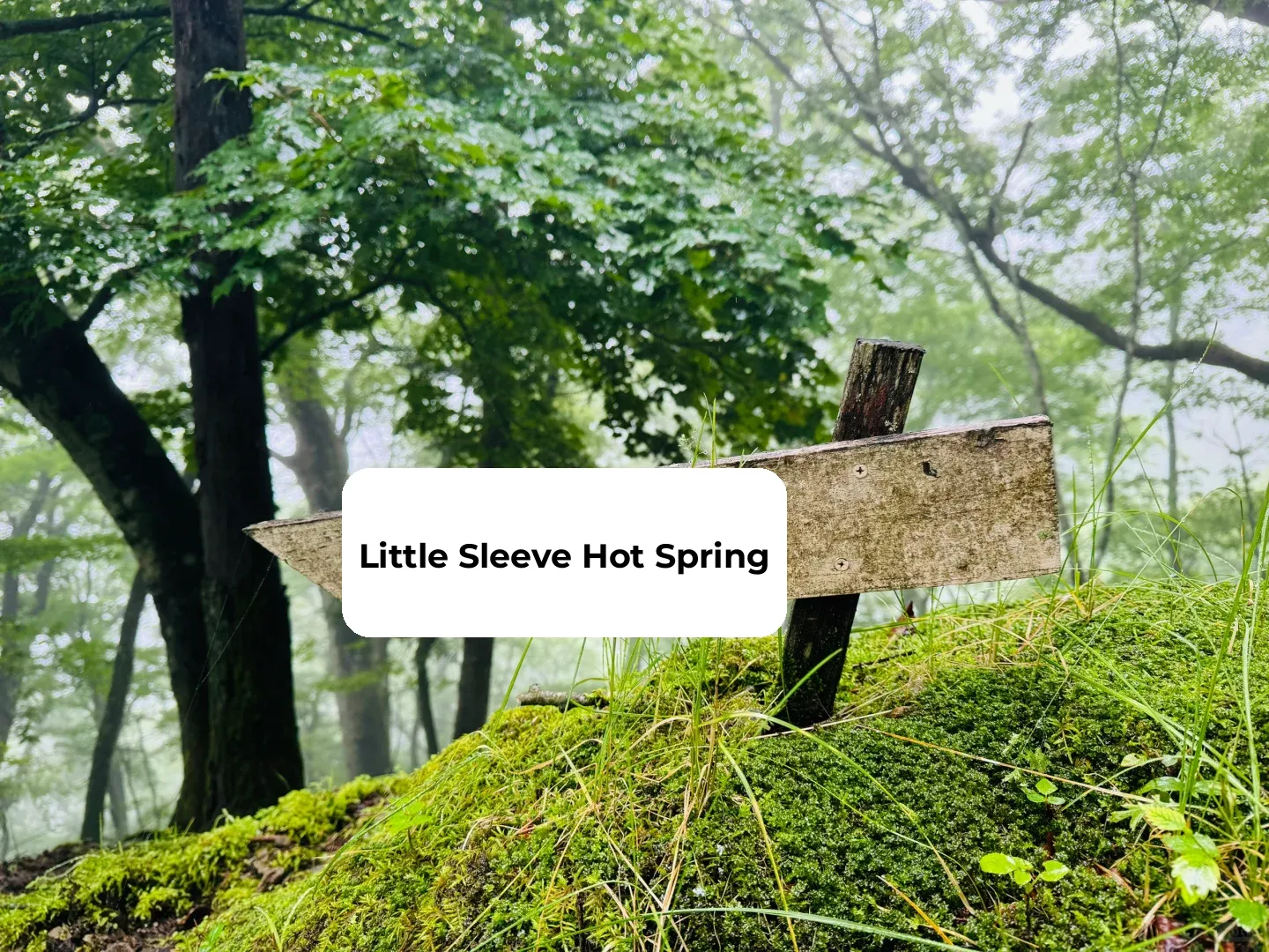 The Highest Peak in Tokyo Metropolis 👉 Mount Kumotori