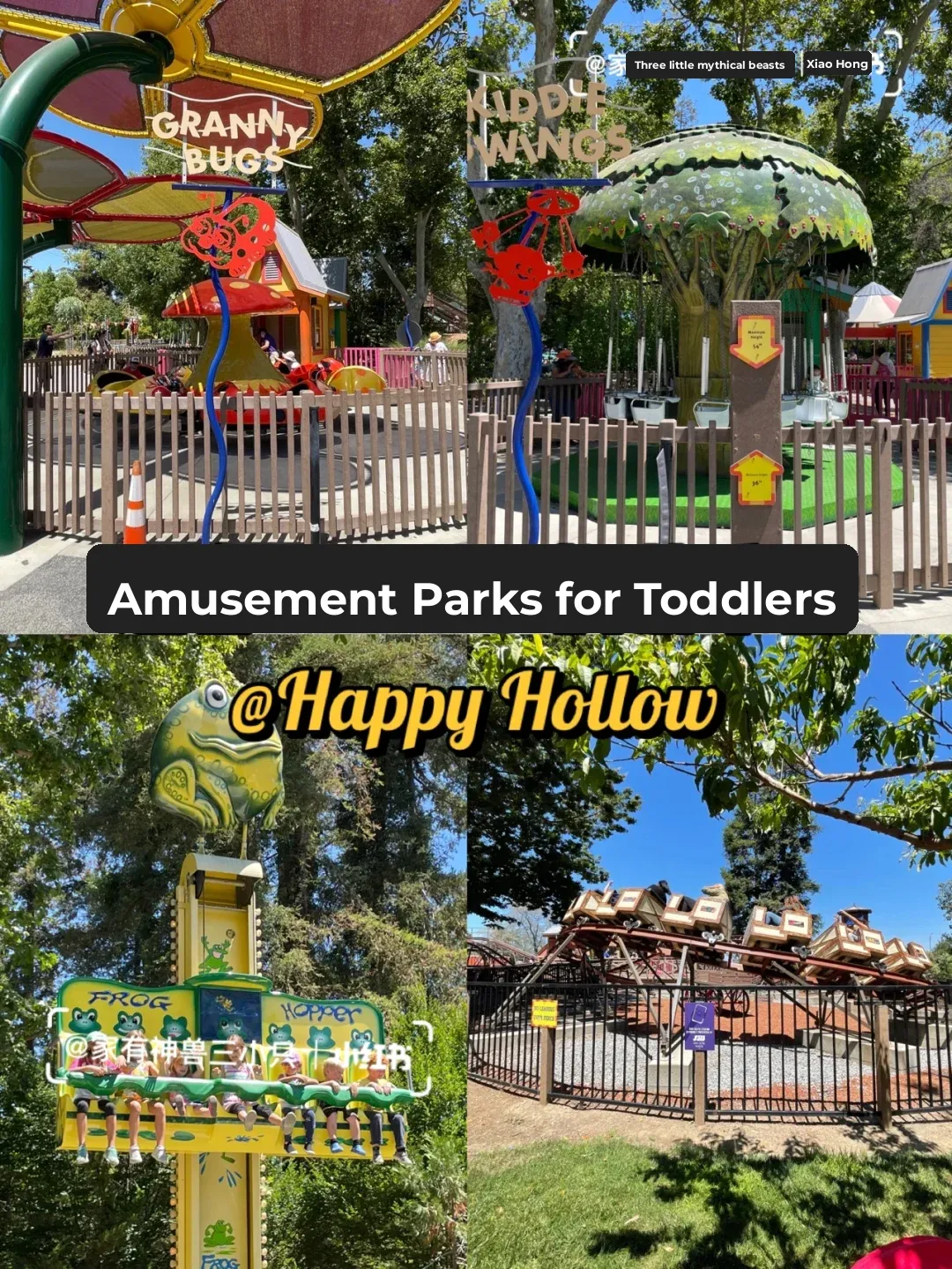 The Rides at Happy Hollow in San Jose Have Reopened!