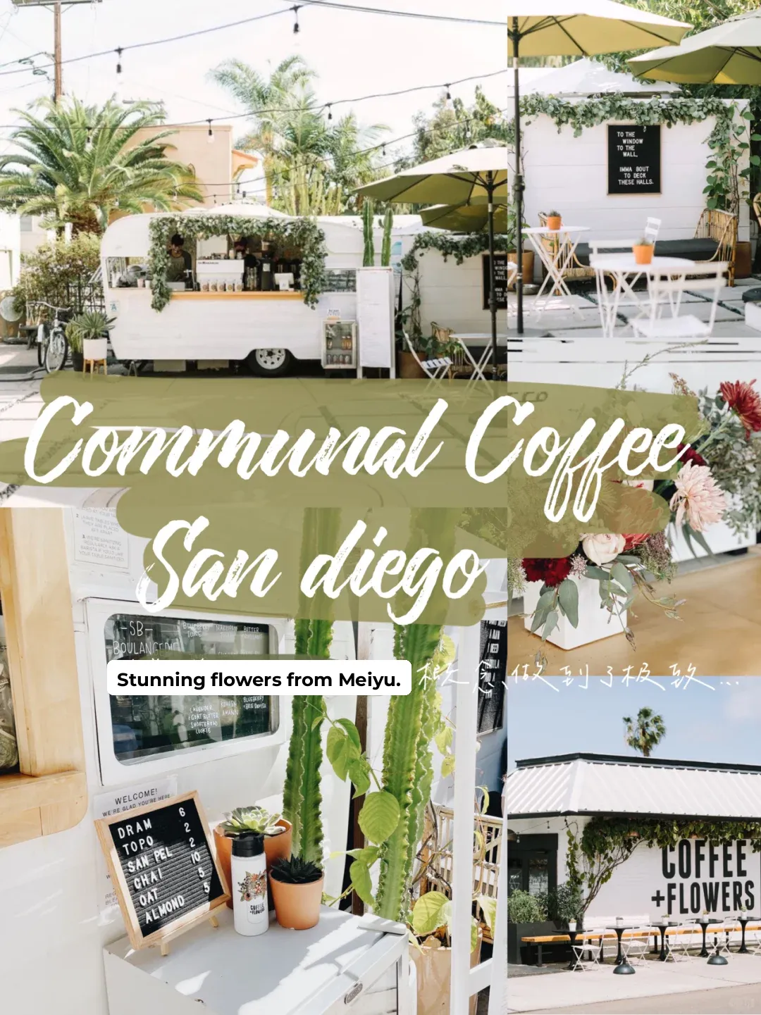🌿San Diego | Discovering the Most Beautiful Flower-Themed Café in All of SD 🍵