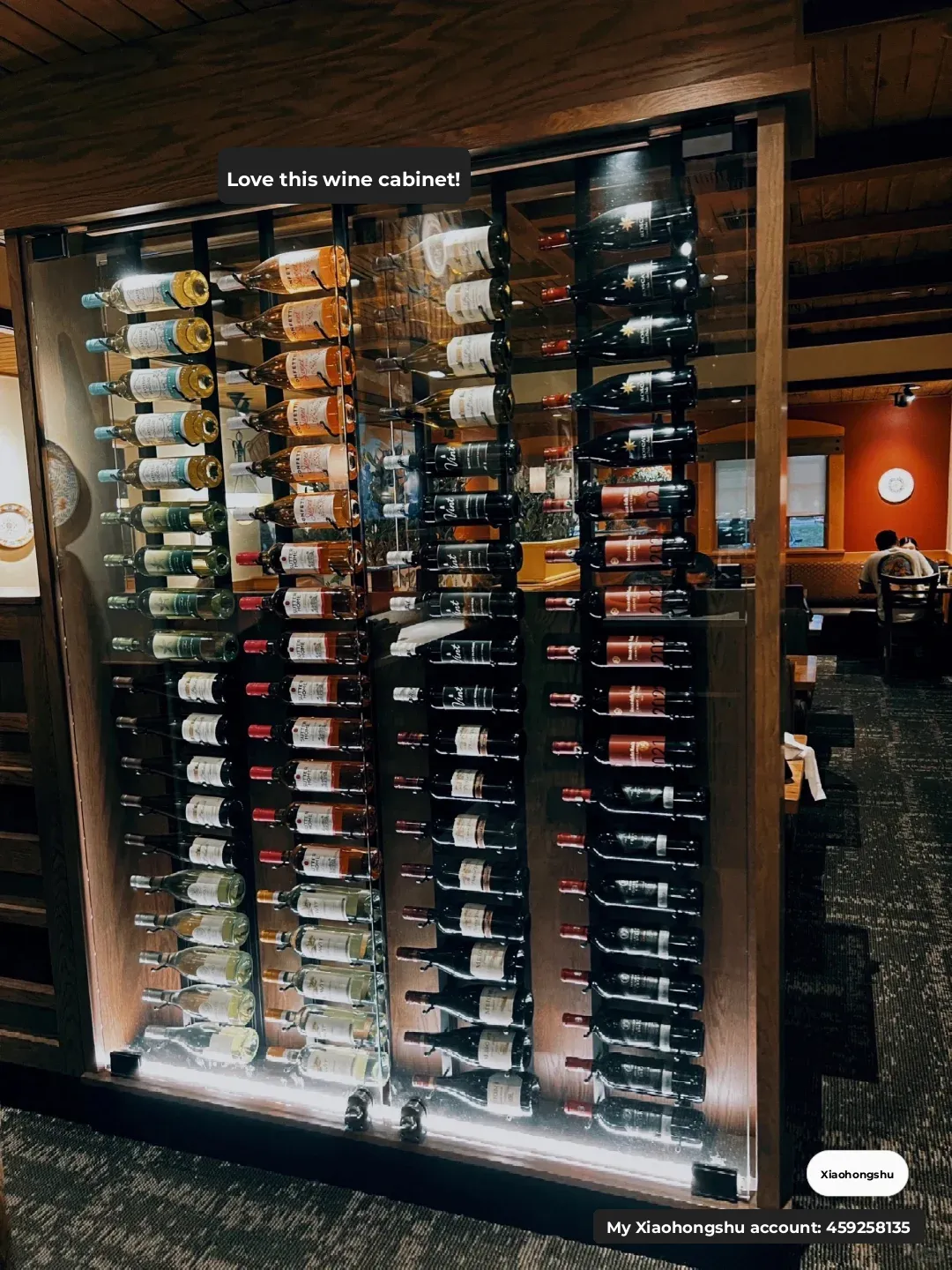 Houston Italian Cuisine Recommendations 🍽️ (๑´ڡ`๑)