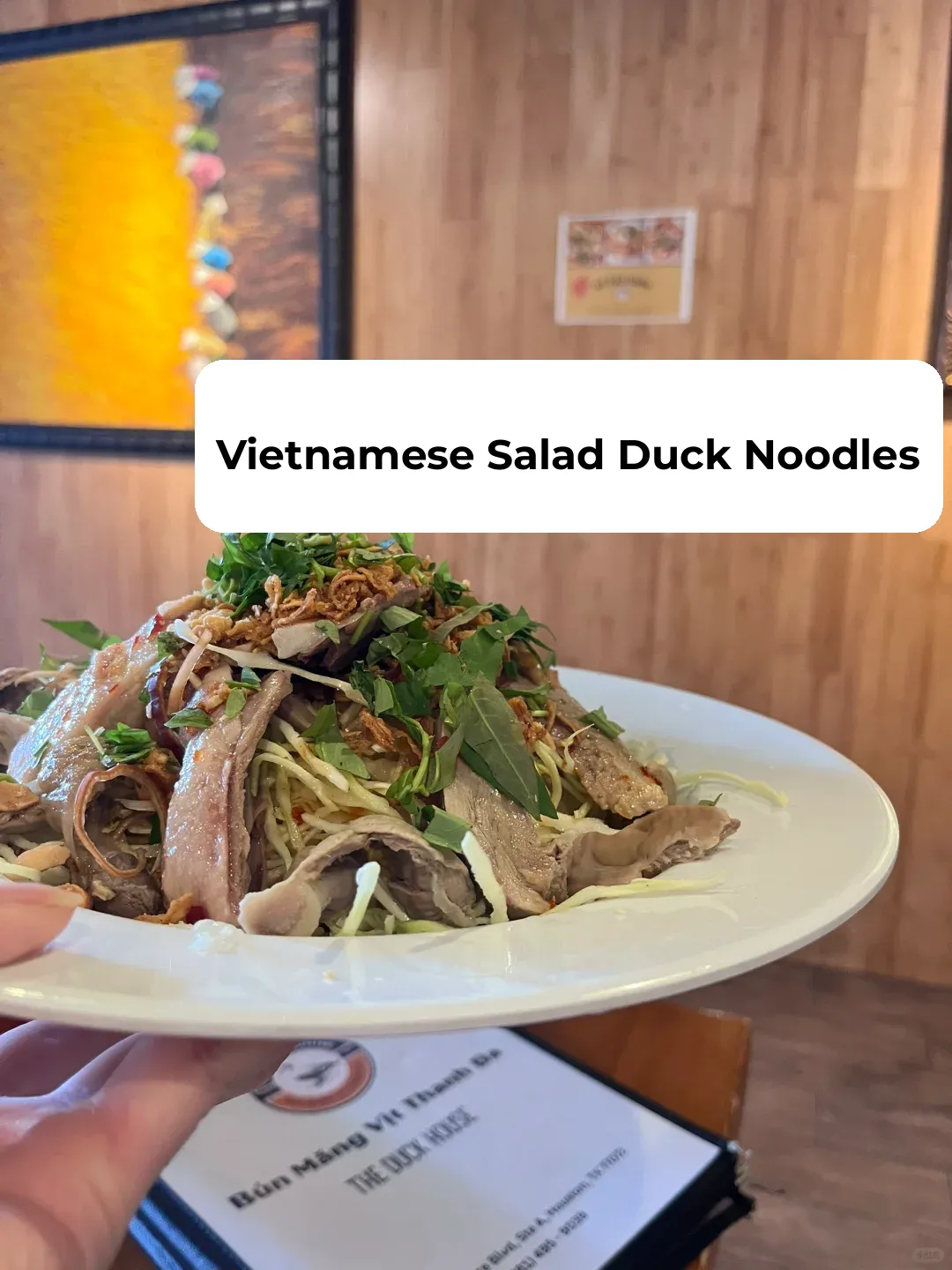 Vietnamese Duck Salad Noodles