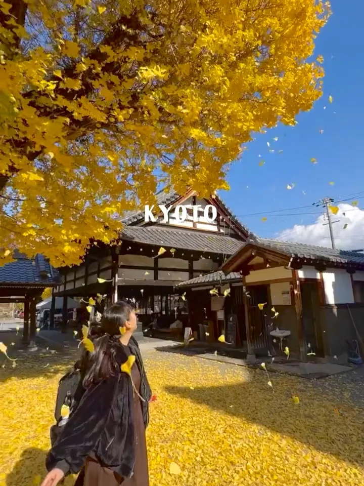 🇯🇵 Hidden Gem in Kyoto: Foguang Temple, Just a Short Walk Away