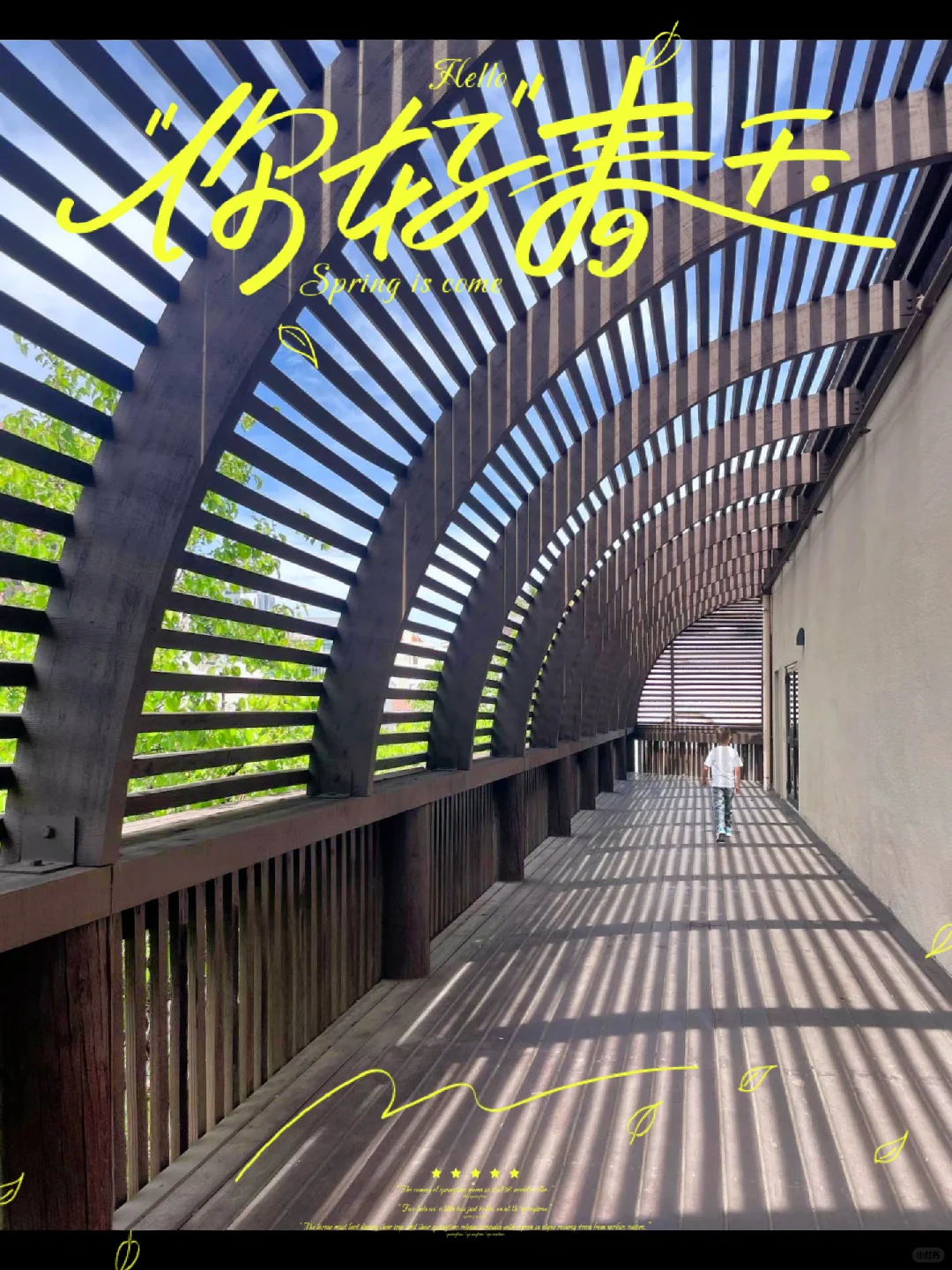 Spring in Phoenix ~ Letting Go and Unwinding