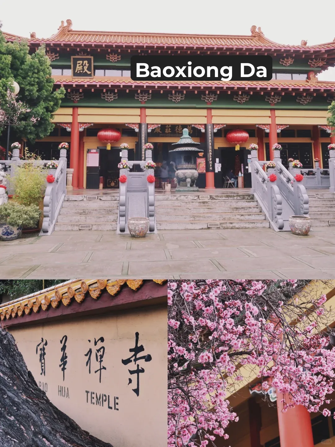 The Ultimate Guide to Visiting Baohua Temple in the Bay Area ✅