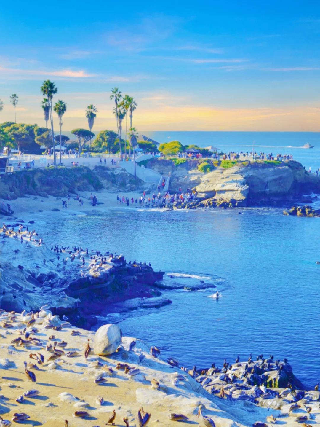 9 Must-See Stunning Landmarks for Hiking in La Jolla, California 🌴