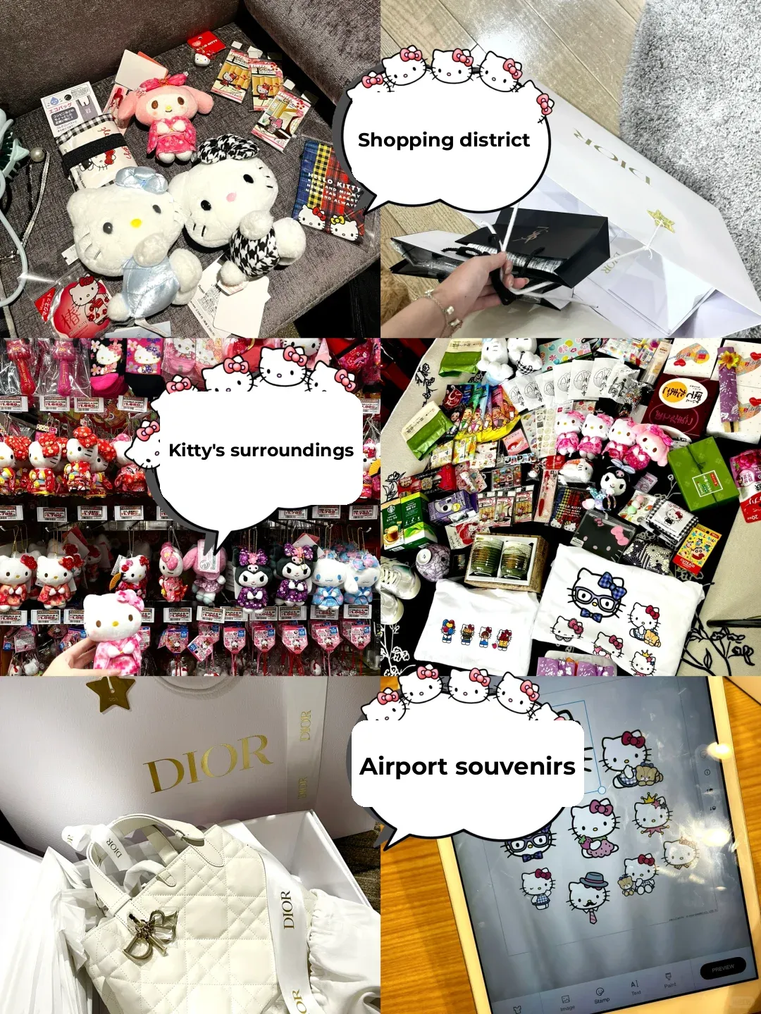 Japan is Seriously Amazing for Shopping (Plus a Killer Shopping Guide!)