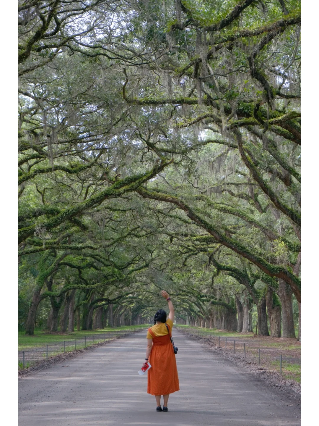 America's Most Charming City | 3-Day, 2-Night Savannah Travel Guide!