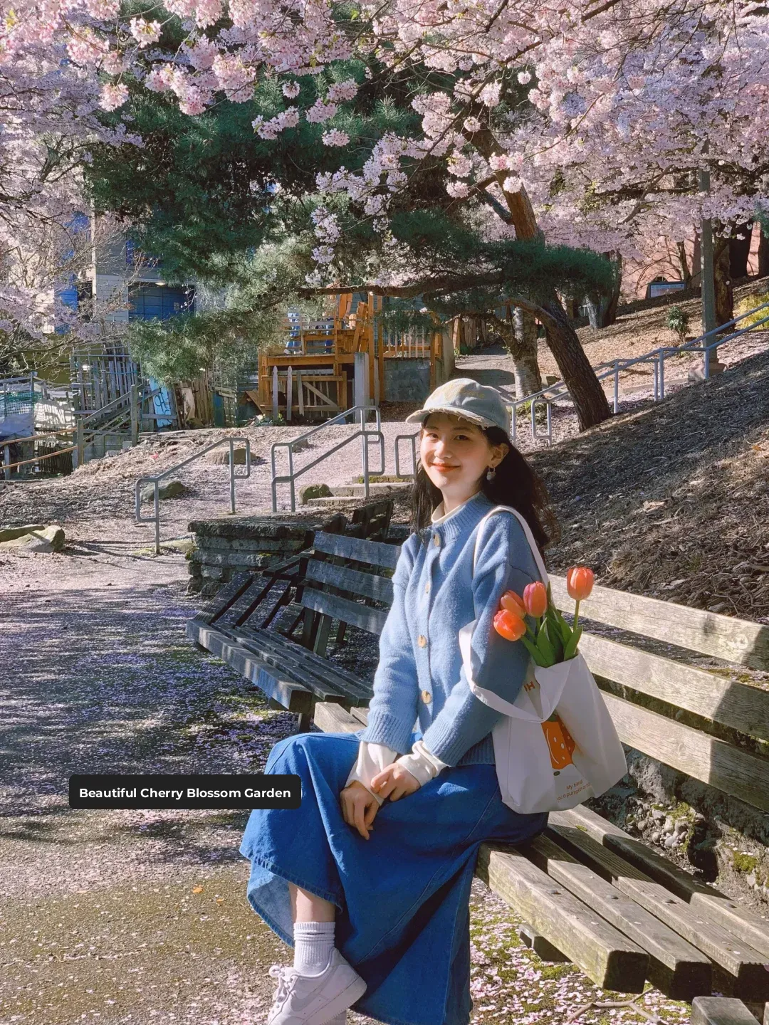 Seattle: A Joyful Picnic Under the Cherry Blossoms 🧺🌸