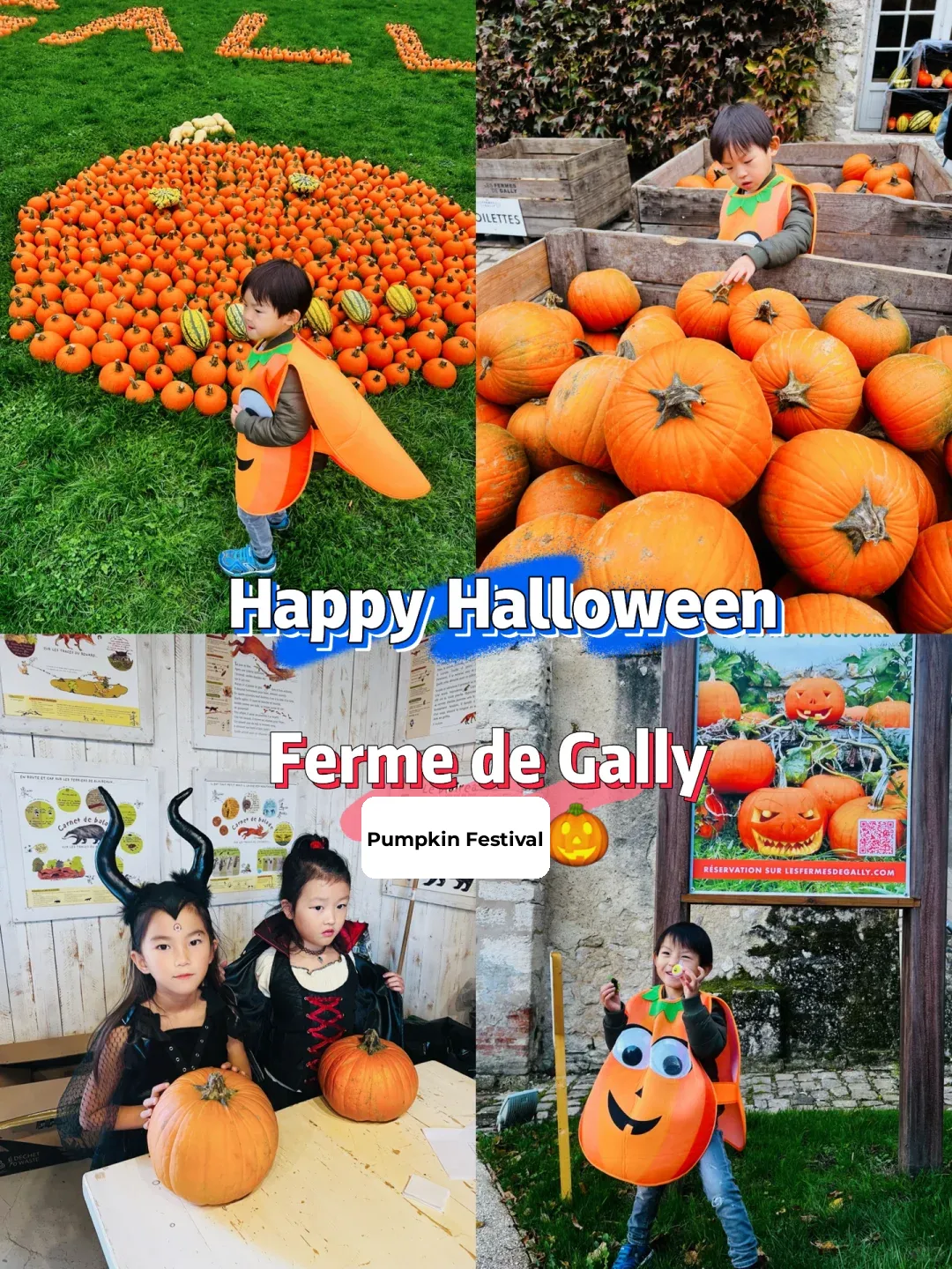 Halloween 🎃: Head to Gally Farm for Some Pumpkin Picking Fun! 👻