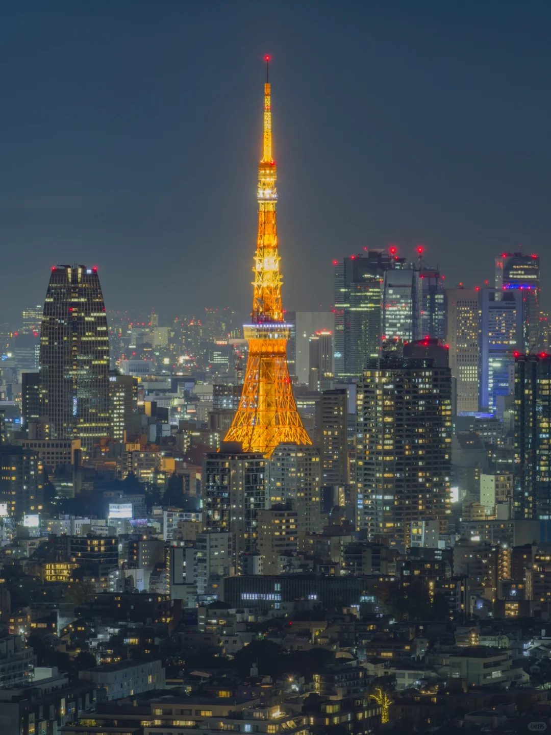 Tokyo by Night | Photography Spot Recommendations