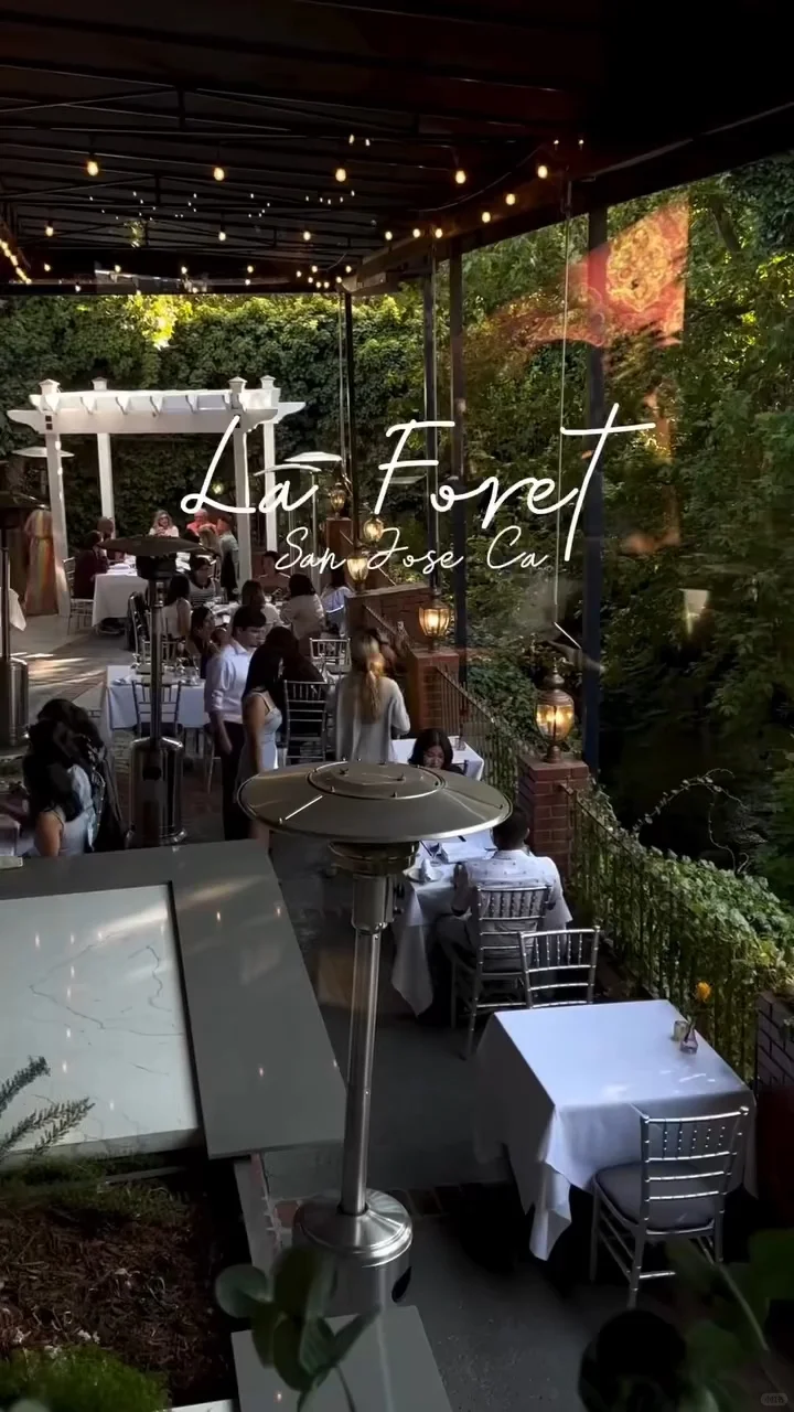 The Most Unforgettable Meal of My Life in San Jose, Bay Area 🌿