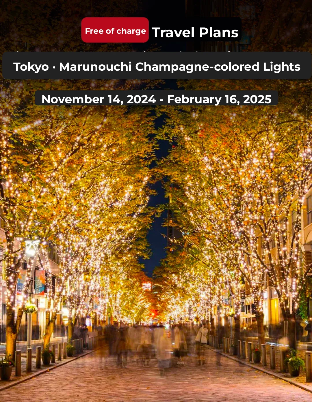 The Most Beautiful Moment in Tokyo's Marunouchi! Champagne-Colored Christmas Illuminations to Begin