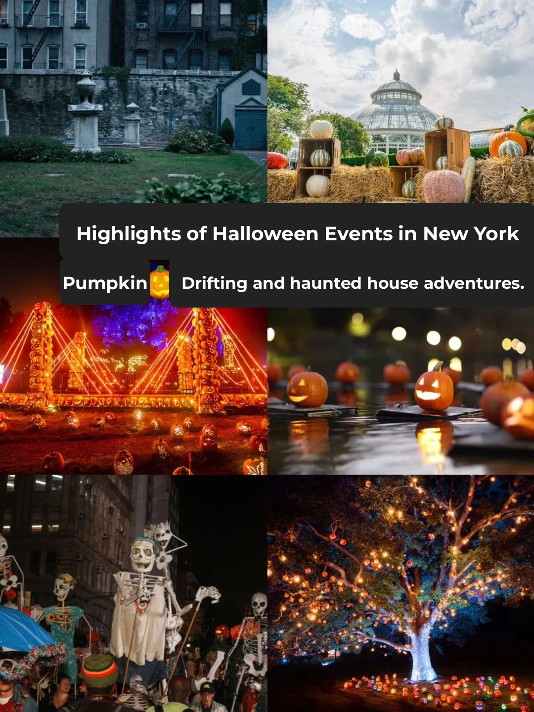 Halloween Extravaganza in NYC: Pumpkin Paddling and Haunted Houses!