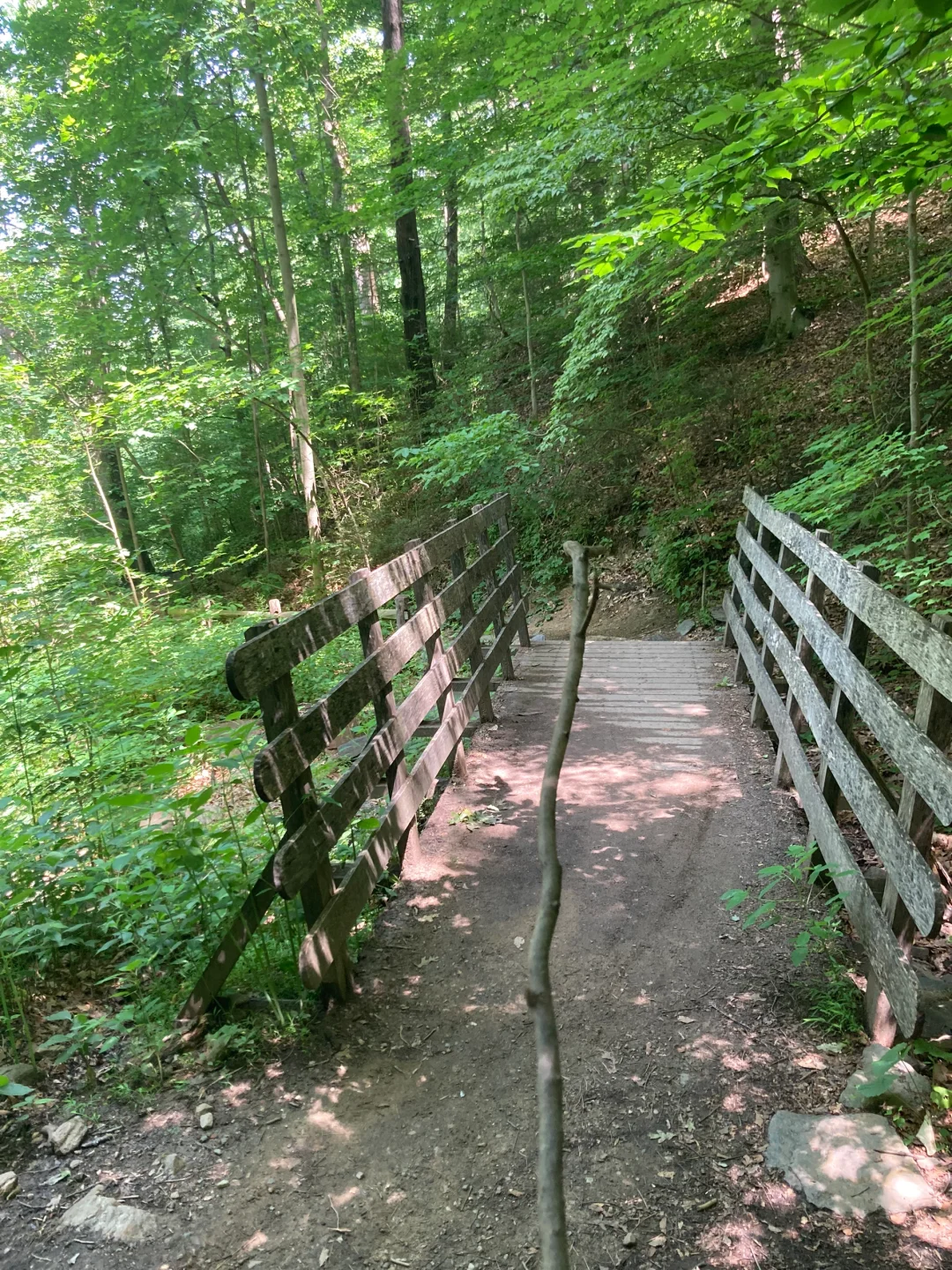 Hiking in Wissahickon Valley Park – Philadelphia’s Scenic West Suburban Escape