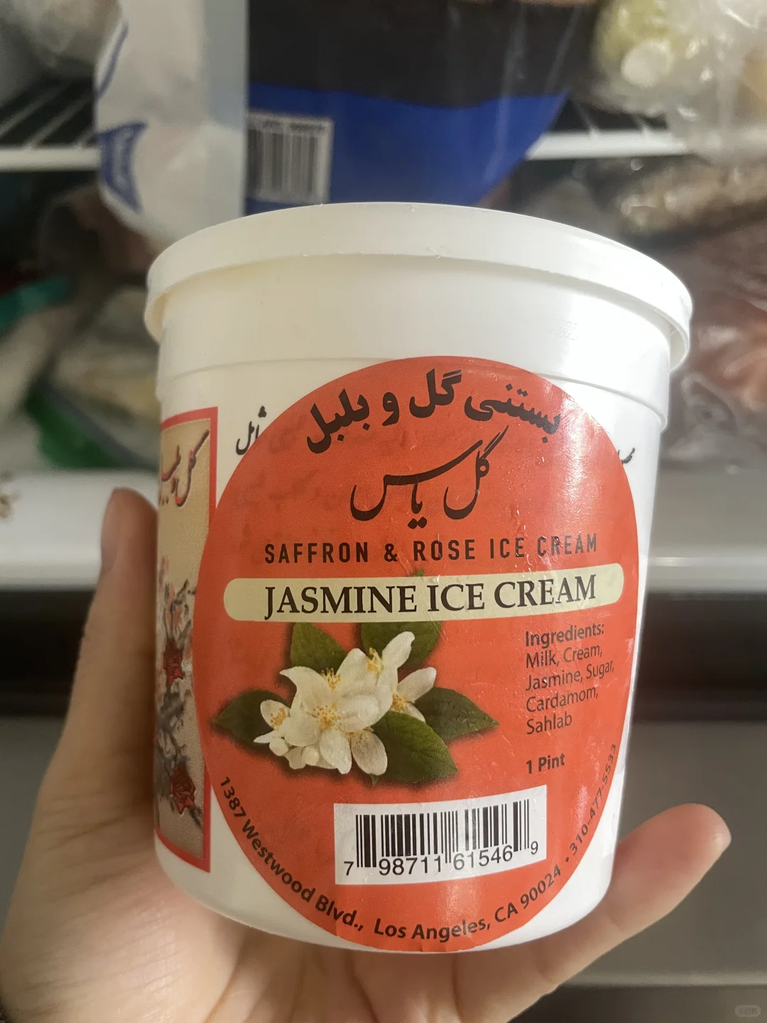 Tasted the Best Ice Cream of My Life in Boston