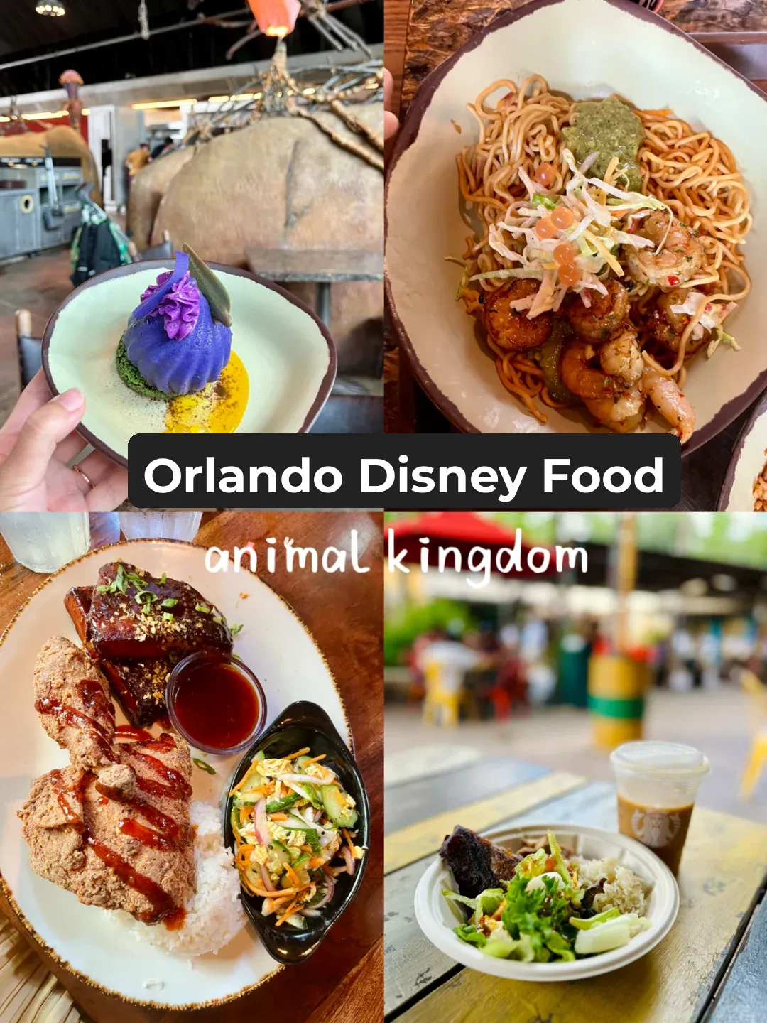 Orlando Disney Annual Passholder Food Guide Update: Animal Kingdom Edition