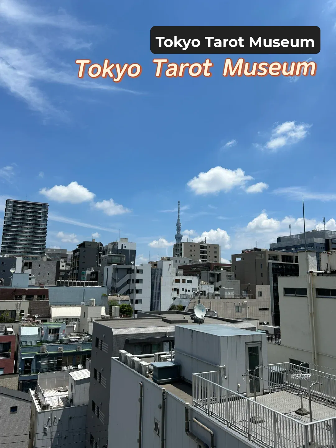 Tokyo, Japan | Tarot Card Museum: The Enigmatic Plaything for Grown-Ups