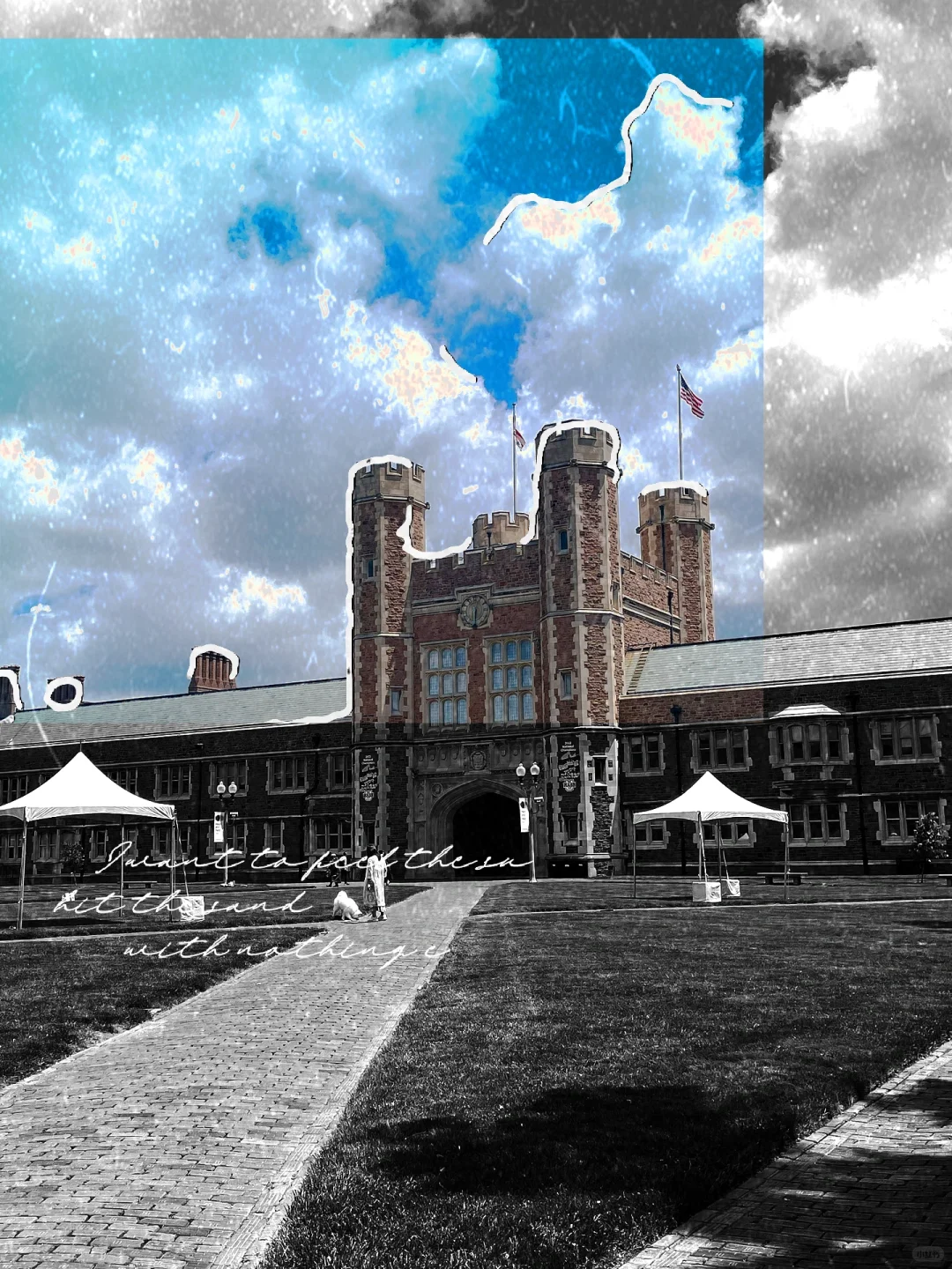 Making Friends in St. Louis: Finding All Kinds of Companions