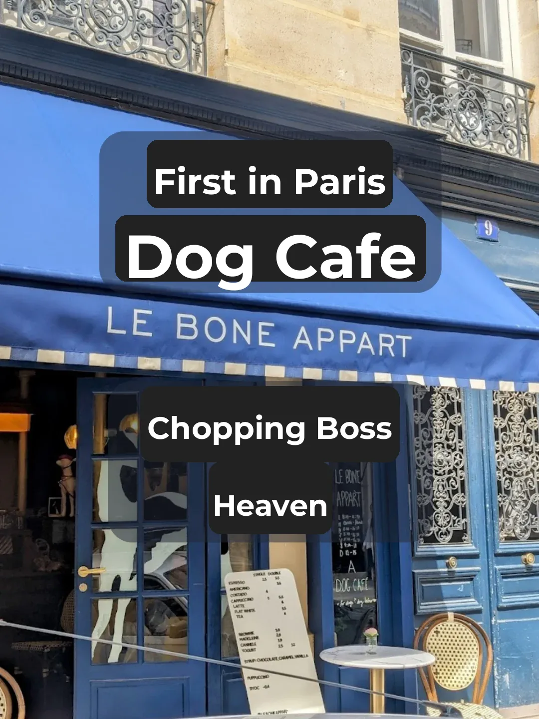 Dog Cafés Are Here, and Pet Parents' Wallets Are About to Take a Hit