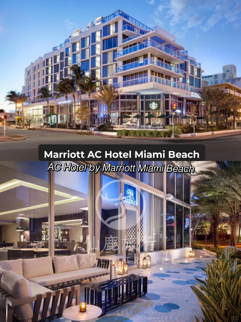 No Way! This Miami Budget-Friendly Hotel Is a Must-Know!