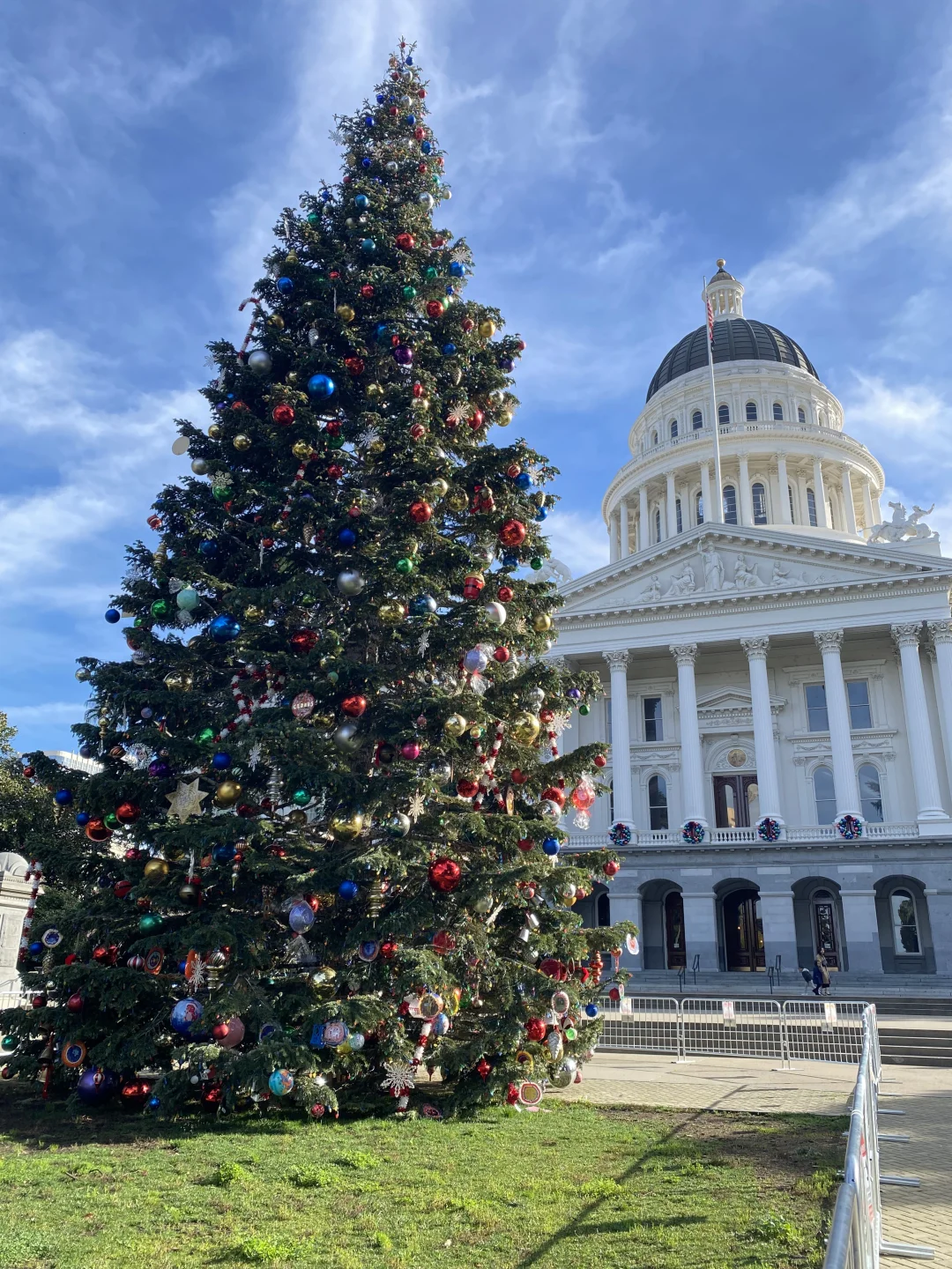 Sac｜Lady Bird’s Homecoming PLOG🎄