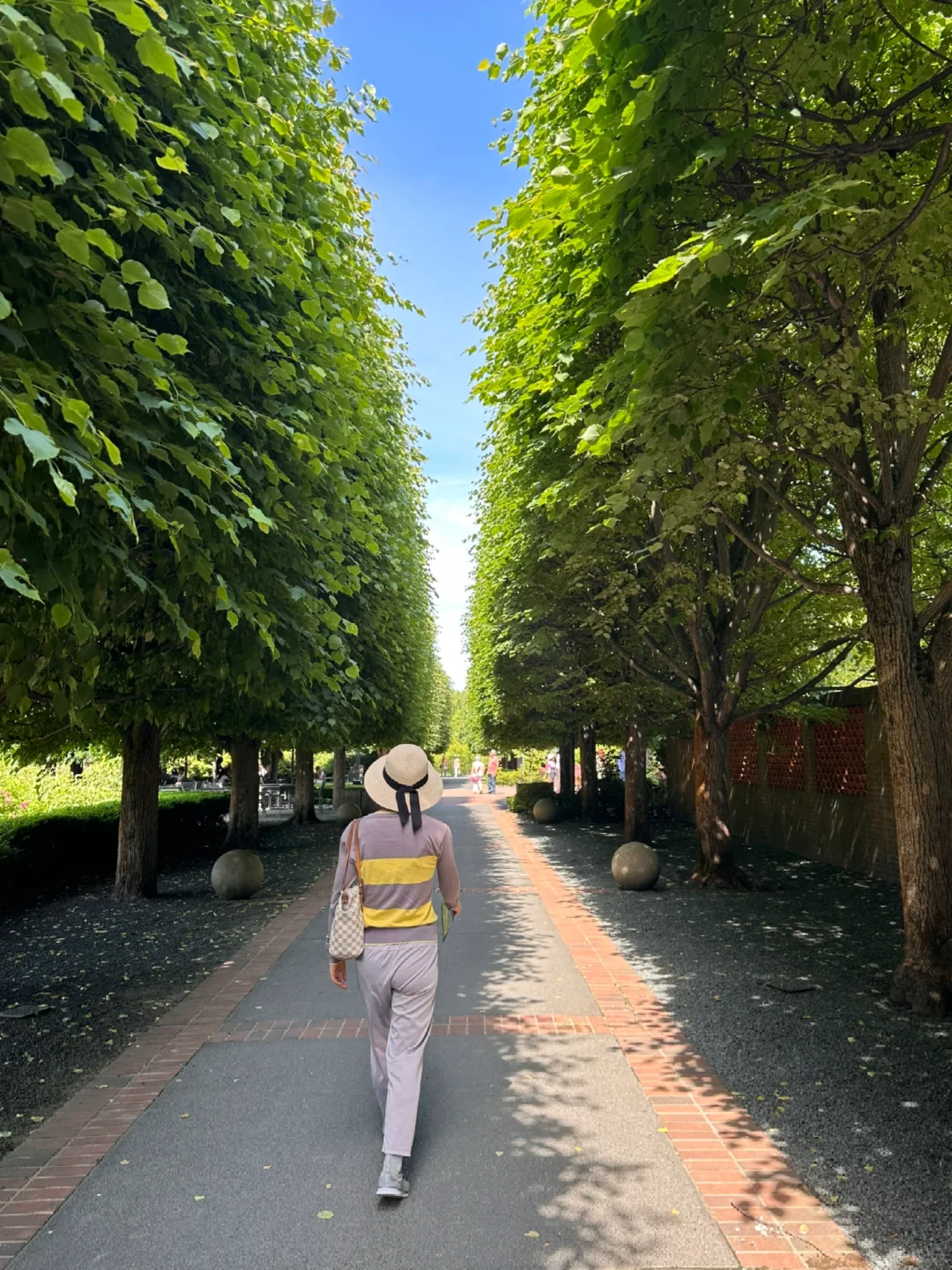 Eat, Drink, and Play in Chicago's Western Suburbs