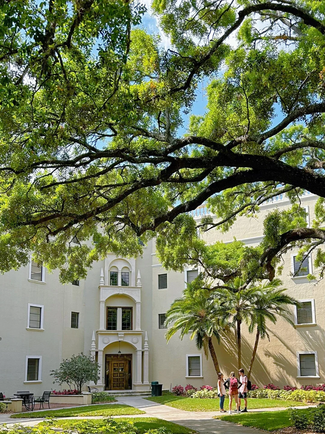 Have You Been to These Spots in Orlando? 🍃🌸