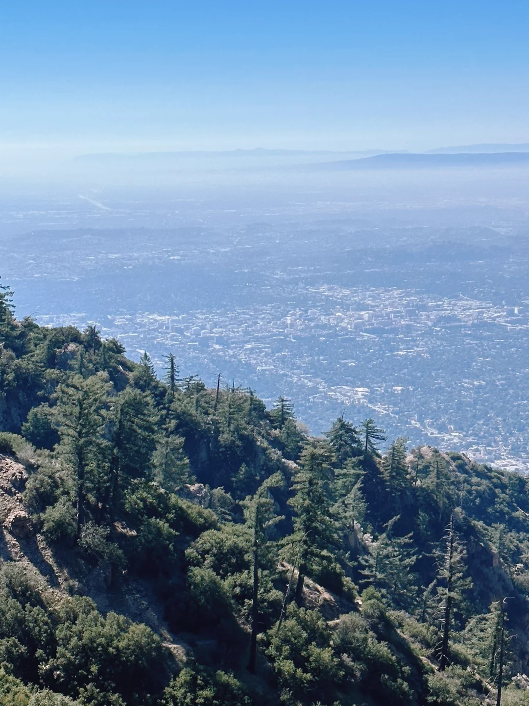 Pasadena's Natural Oxygen Bar | Mt. Lowe Trail