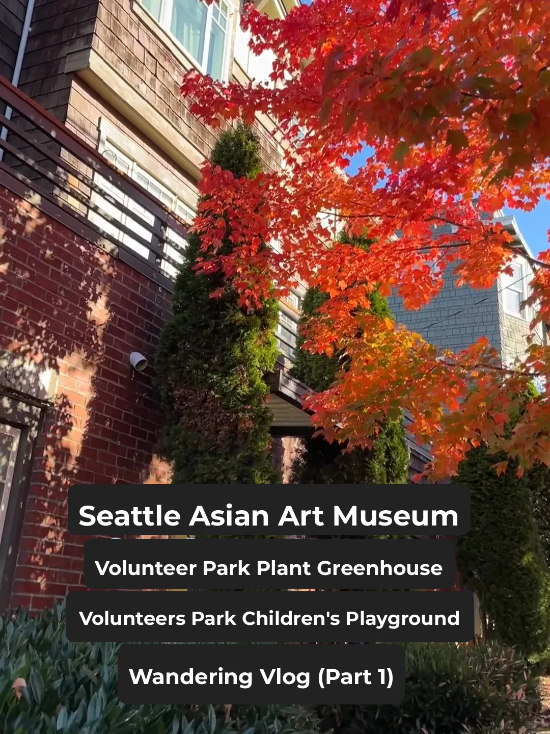 Seattle Asian Art Museum + Conservatory (Part 1)