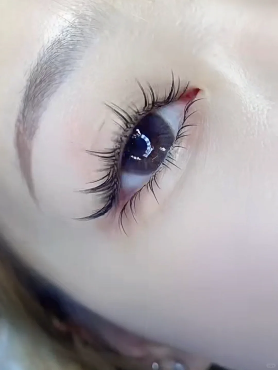 Thanksgiving festivities are on! Book early to secure your spot ⚡️