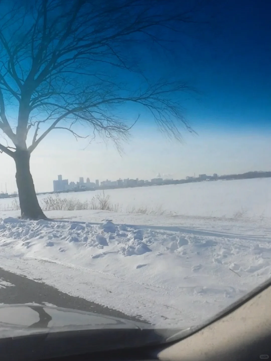 Detroit River Frozen Solid
