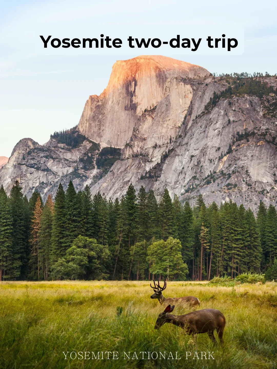 Two-Day Trip to Yosemite National Park from San Francisco | California's Backyard Garden