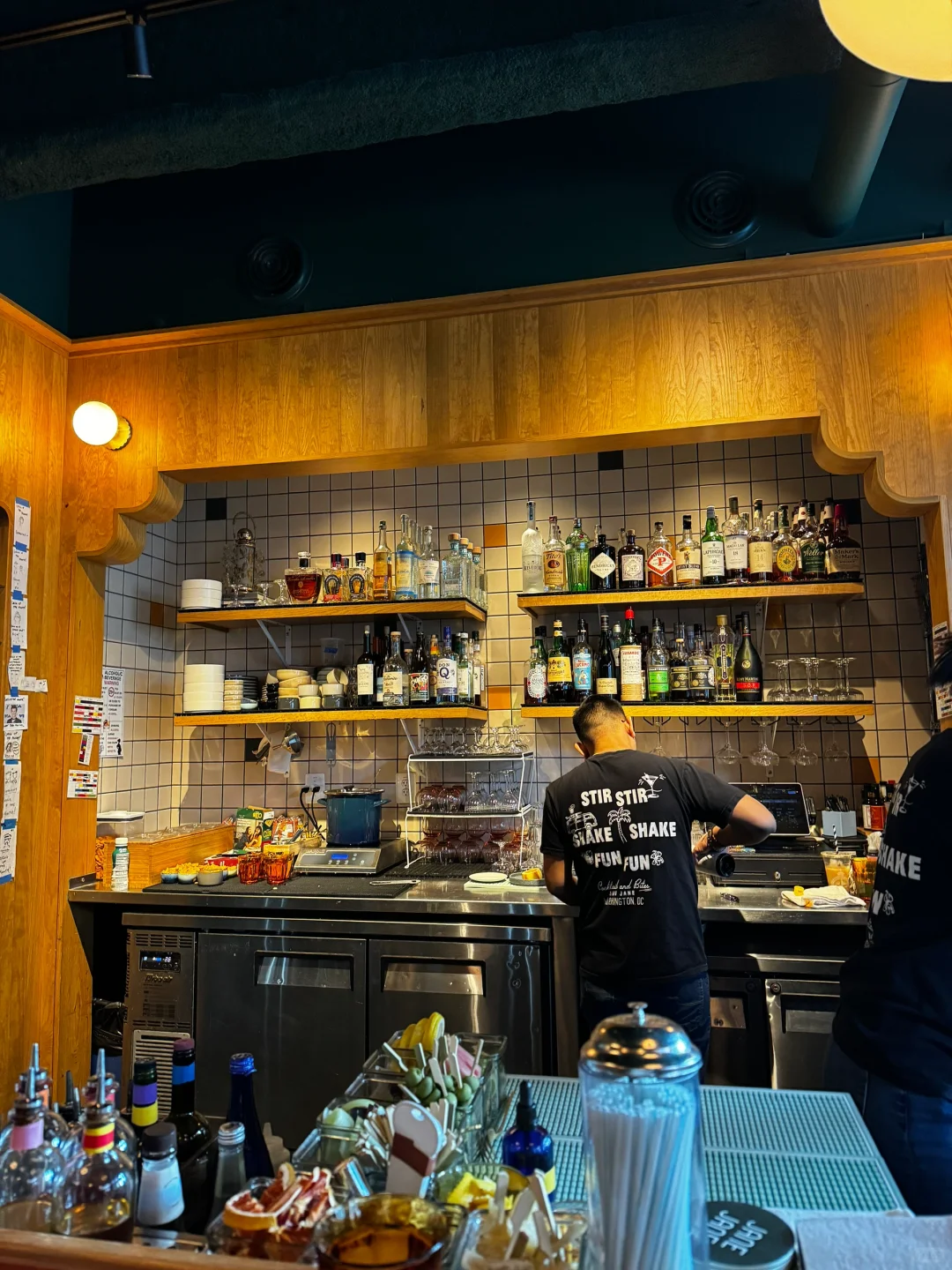 Hanging Out with Jane Jane in DC (feat. DC Travel Diary)