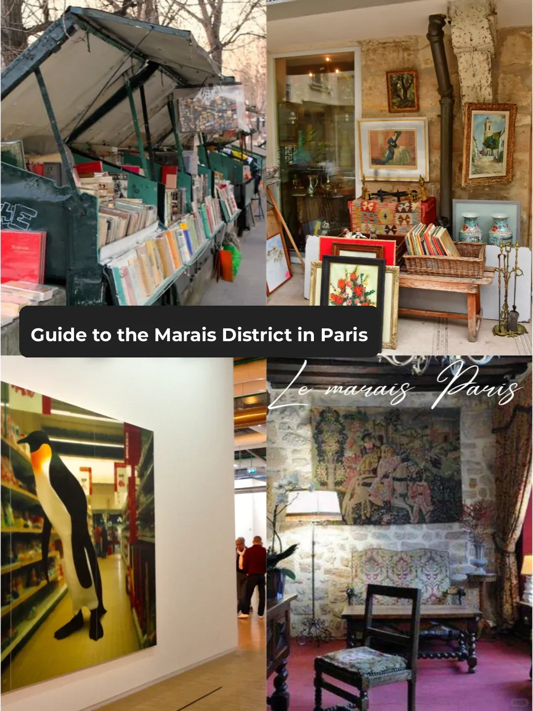 Paris Marais District | A Half-Day Offbeat CityWalk Guide!!