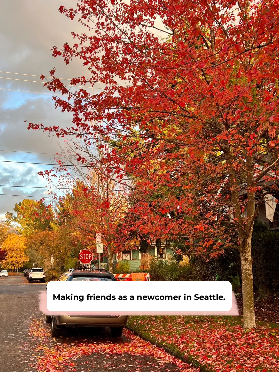 Newbies in Seattle: Making Friends