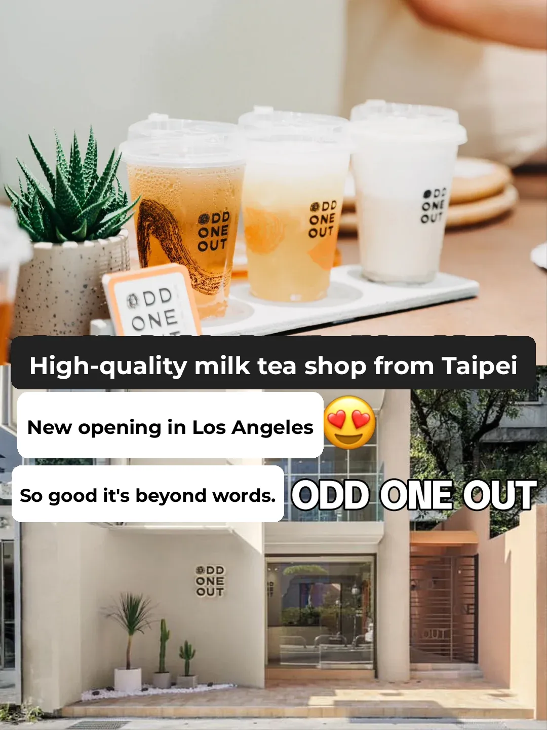 OMG! LA's New Ultra-Delicious and High-Quality Milk Tea Spot is 🔥
