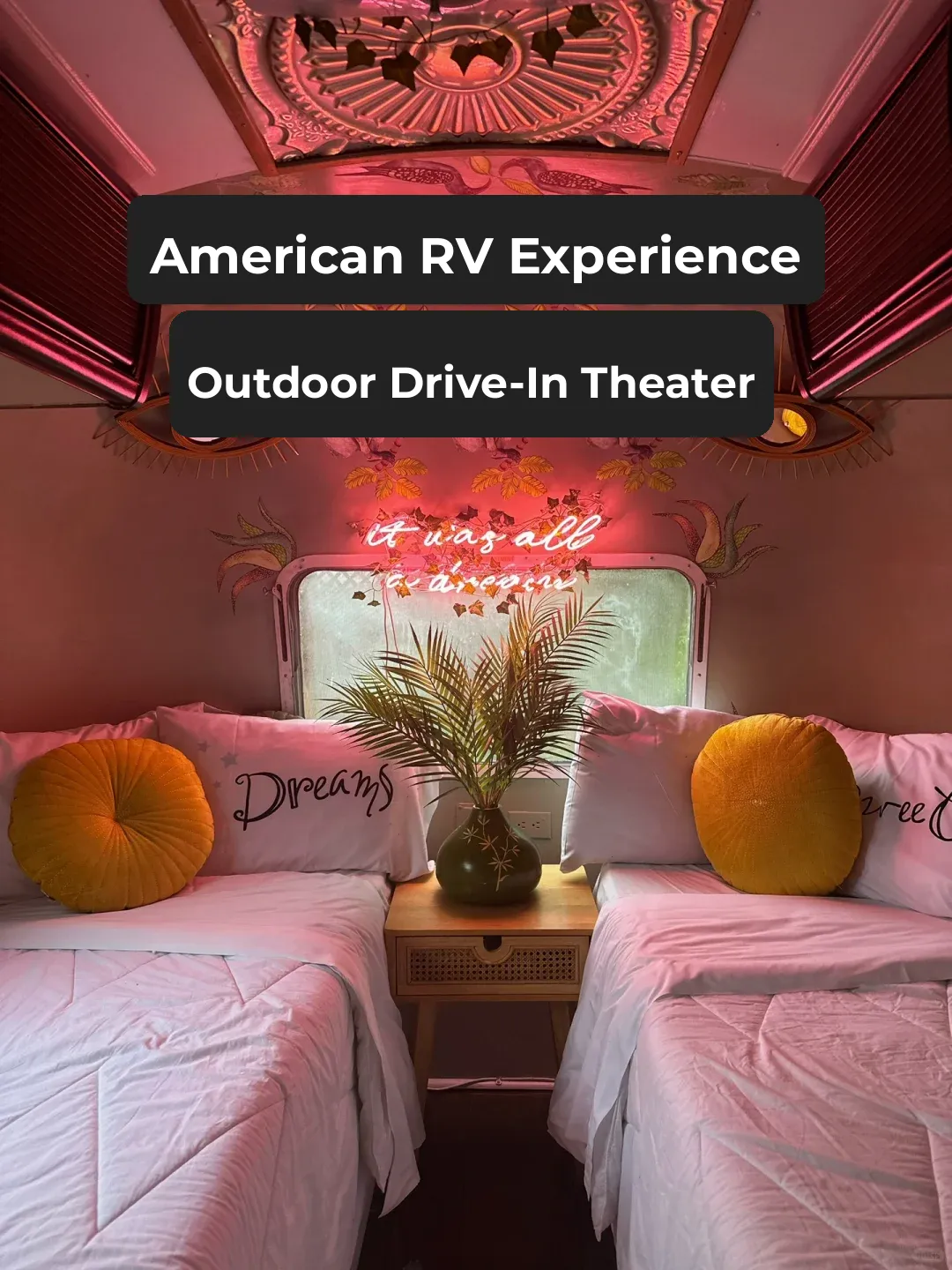 First Taste of American Culture: RV Camping ⛺️ + Drive-In Movie Theater!